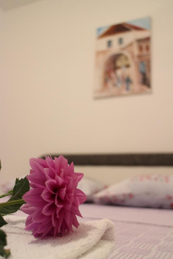 Apartman Anja 트레빈예 외부 사진